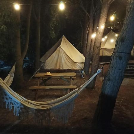 Bungalows Y Glamping Medina Sidonia المظهر الخارجي الصورة